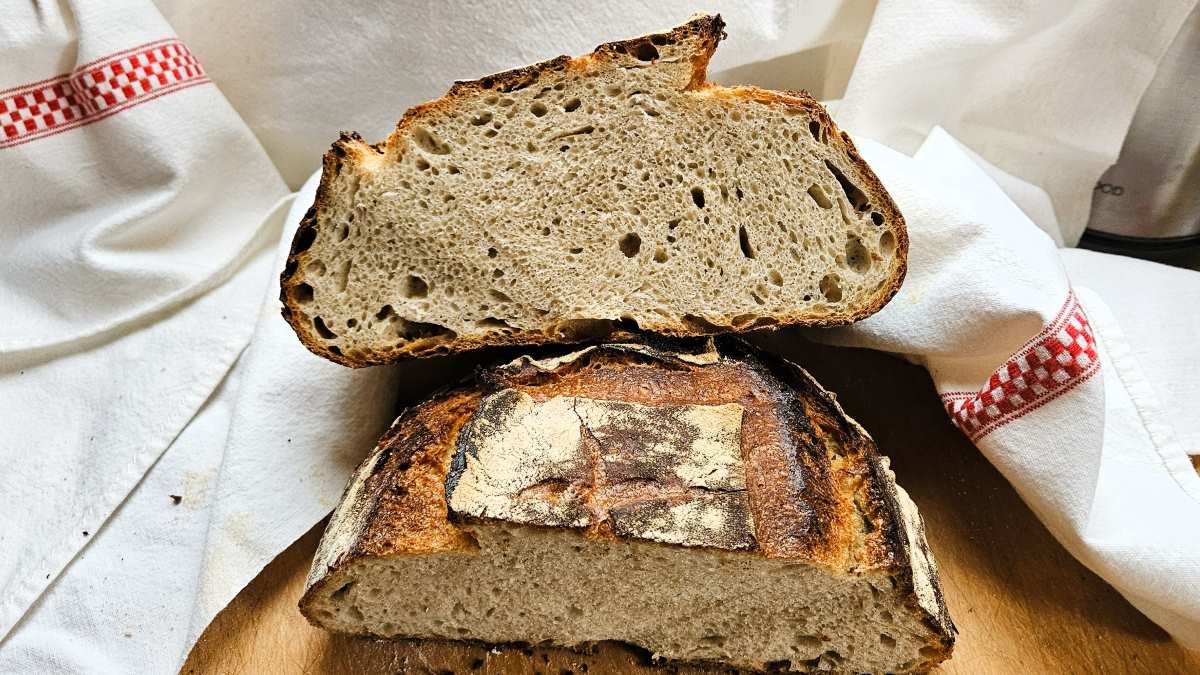 Zufallsbrot 2